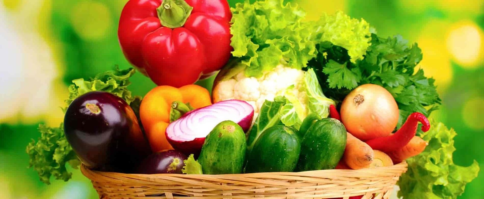 At risus pretium urna tortor metus fringilla